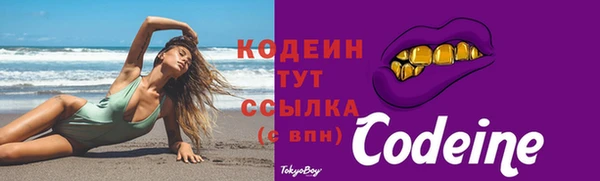ешки Арсеньев