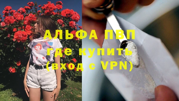 ешки Арсеньев