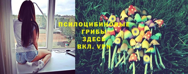 синтетический гашиш Армянск