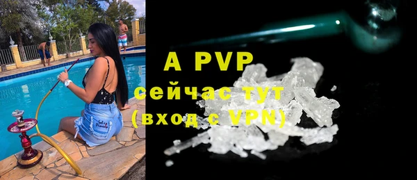 ешки Арсеньев