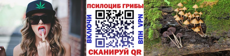 ссылка на мегу как войти Губаха Галлюциногенные грибы Psilocybine cubensis закладка
